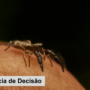 3ª Câmara nega indenização a trabalhador picado por aranha